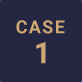 CASE01